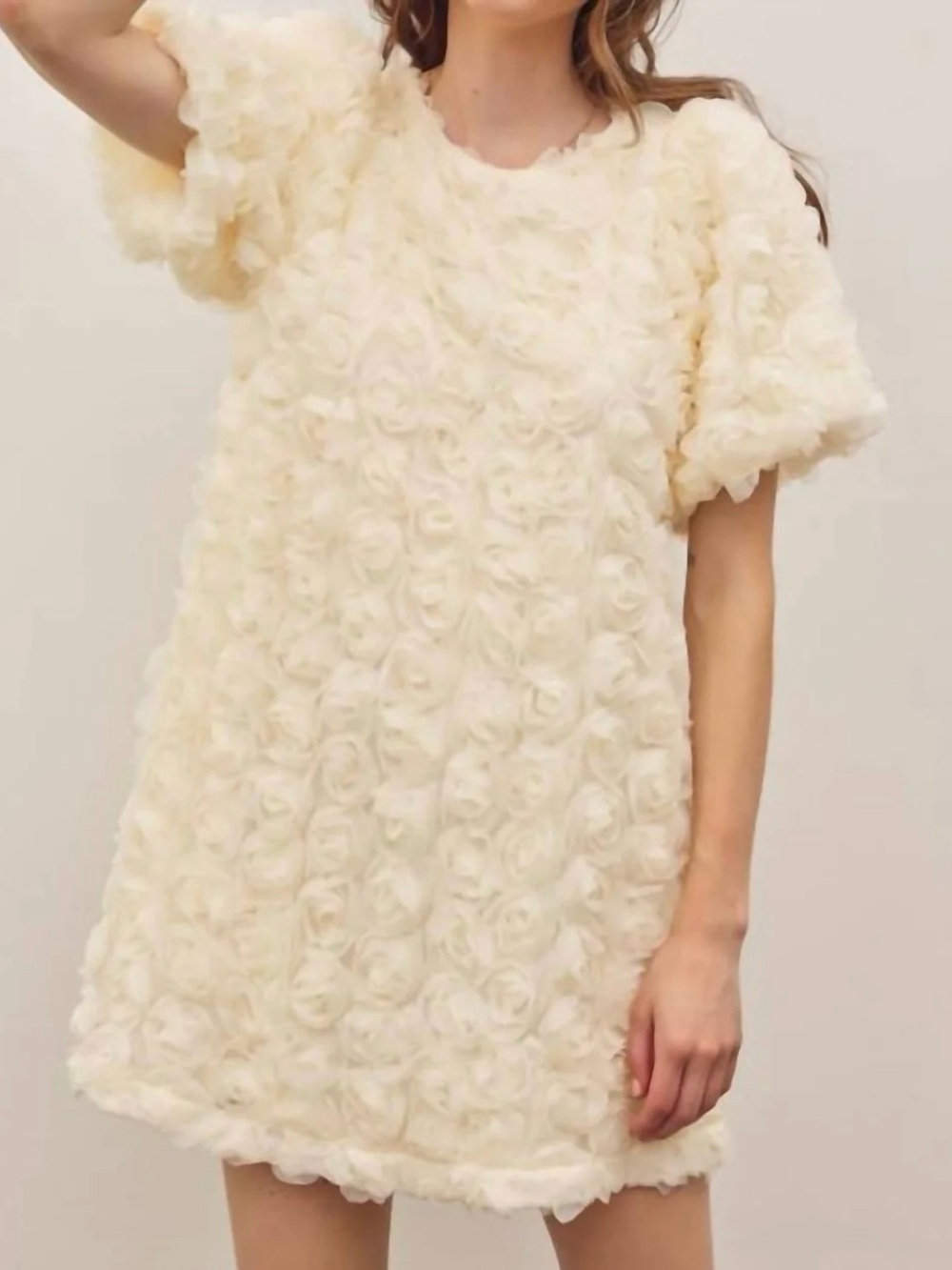 3D floral lace textured fabric short sleeves mini dress women’s size large